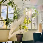 Epinappart Avec Terrasse