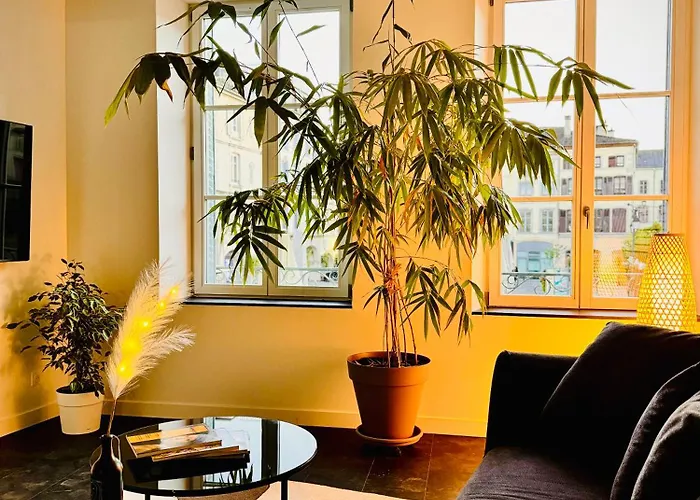 Epinappart Avec Terrasse * Épinal