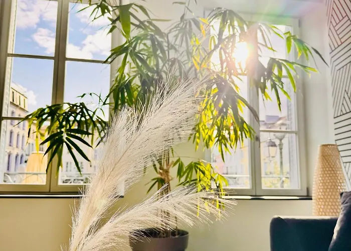 Epinappart Avec Terrasse