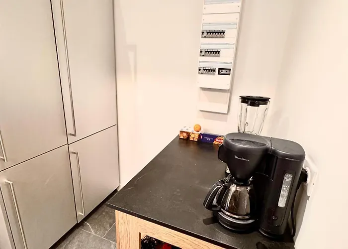 Epinappart Avec Terrasse *